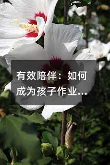 有效陪伴:如何成為孩子作業(yè)的得力伙伴