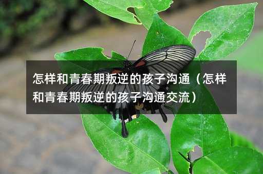 ���Ӻ��ഺ������ĺ��Ӝ�ͨ�����Ӻ��ഺ������ĺ��Ӝ�ͨ������