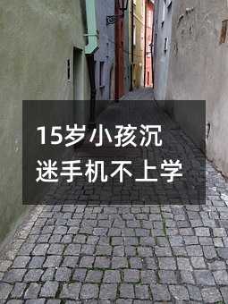 15�qС�������֙C���όW