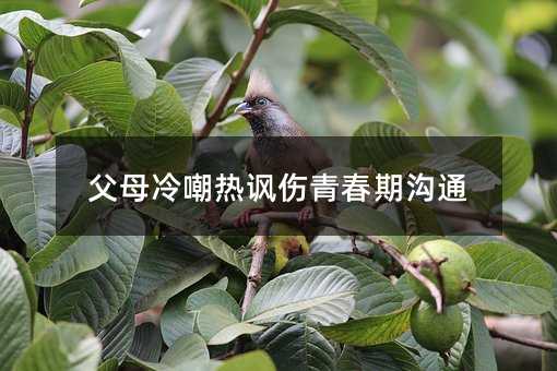 ��ĸ�䳰���S���ഺ�ڜ�ͨ