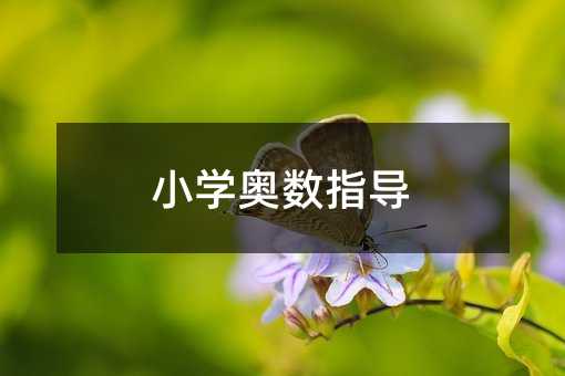 小學(xué)奧數(shù)指導(dǎo)