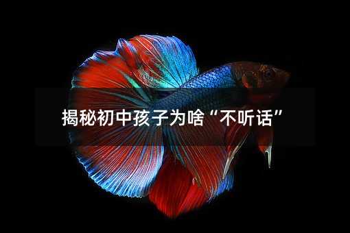 ���س��к��Ӟ�ɶ���� Ԓ��