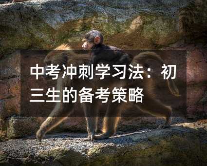 �п��_�̌W�������������Ă俼����