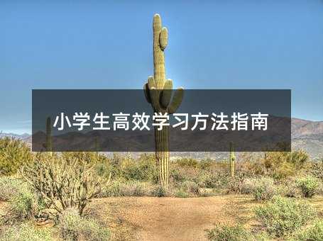 С�W����Ч�W������ָ��