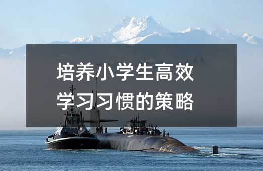 ���BС�W����Ч�W�����T�Ĳ���