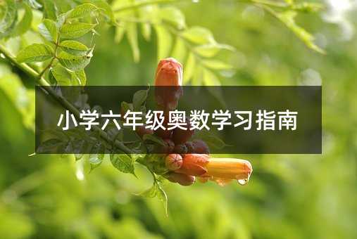 小學六年級奧數學習指南