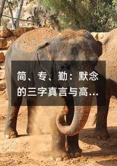 ���������ڣ�Ĭ������������c�߿��ĳɹ�֮·