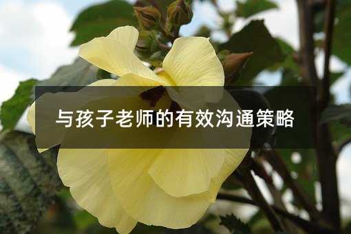 �c�����ώ�����Ч��ͨ����