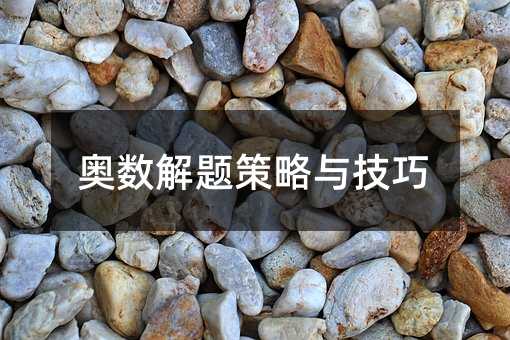 奧數解題策略與技巧