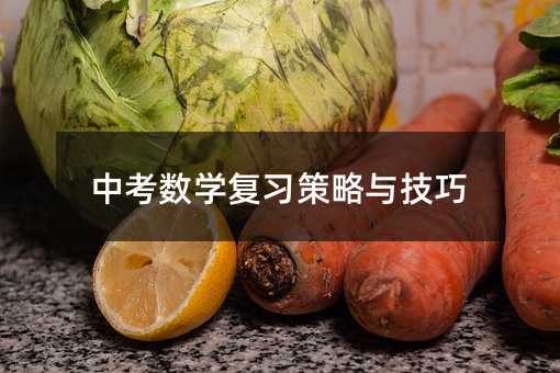 中考數(shù)學(xué)復(fù)習(xí)策略與技巧