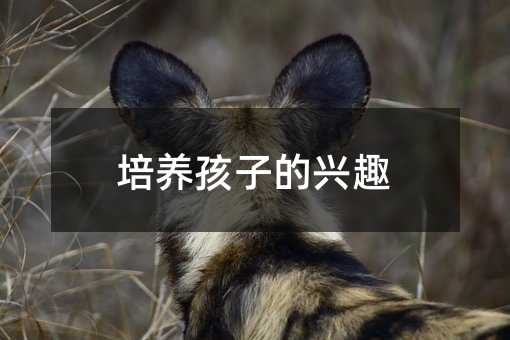 培養(yǎng)孩子的興趣