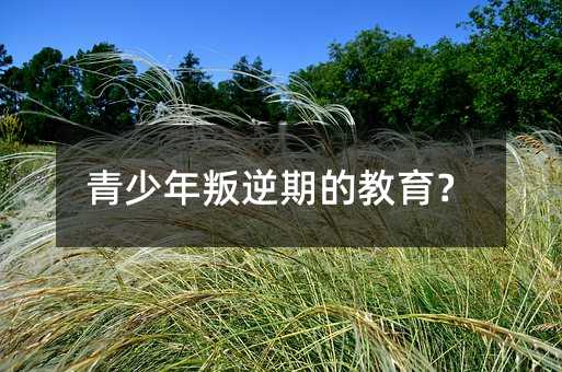 �����������ڵĽ�����