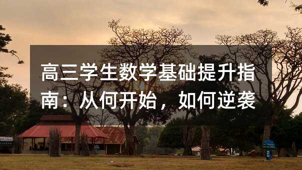 高三學生數學基礎提升指南:從何開始,如何逆襲