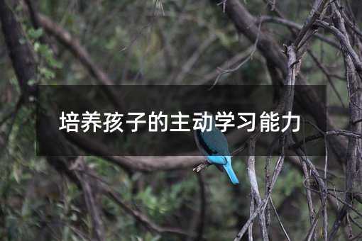 ���B���ӵ����ӌW������