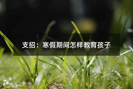 ֧�У��������g���ӽ�������