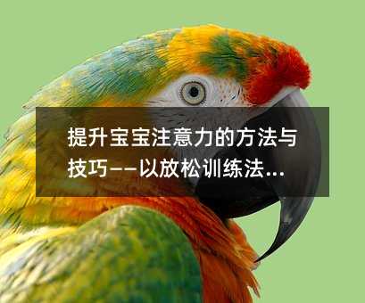 提升寶寶注意力的方法與技巧——以放松訓練法為例