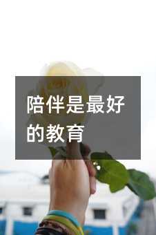 �������õĽ���