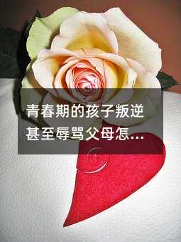 �ഺ�ڵĺ��������������R��ĸ��ô�k��