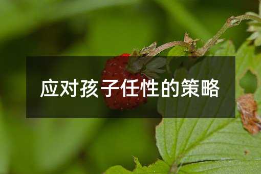 ��(y��ng)��(du��)�������ԵĲ���