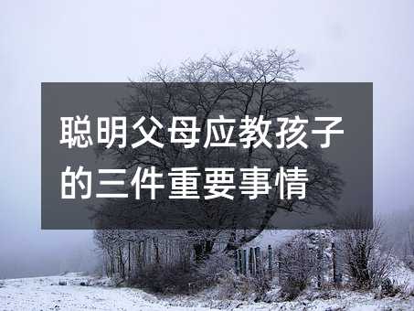 ����ĸ���̺��ӵ�������Ҫ����