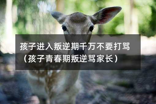 �����M��������ǧ�f��Ҫ���R�������ഺ�������R���L��