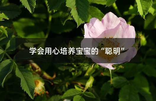 �W(xu��)��(hu��)�������B(y��ng)�����ġ�����