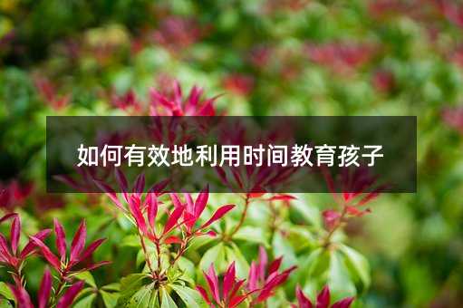 �����Ч�����Õr�g��������