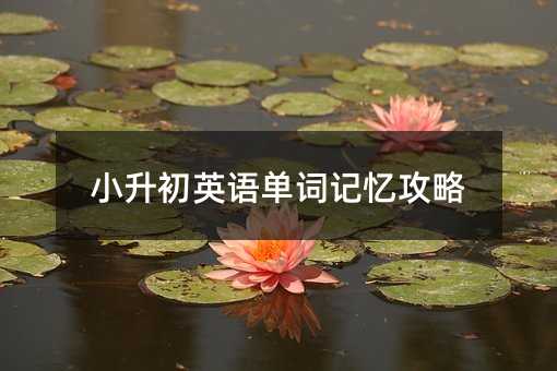 С����Ӣ�Z���~ӛ������