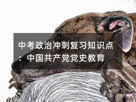 中考政治沖刺復習知識點:中國共產黨黨史教育