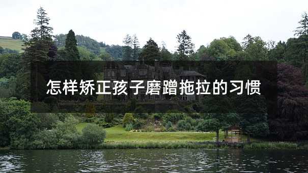 ���ӳC������ĥ����������(x��)�T