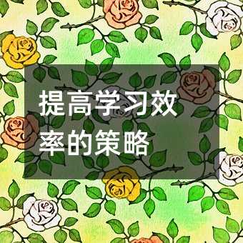 ��ߌW��Ч�ʵĲ���