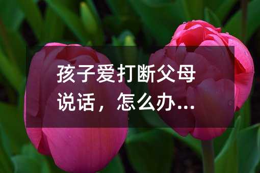 ���Ӑ۴�ุĸ�fԒ����ô�k����