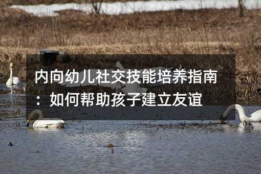 ��(n��i)���׃��罻�������B(y��ng)ָ�ϣ���Ύ������ӽ������x