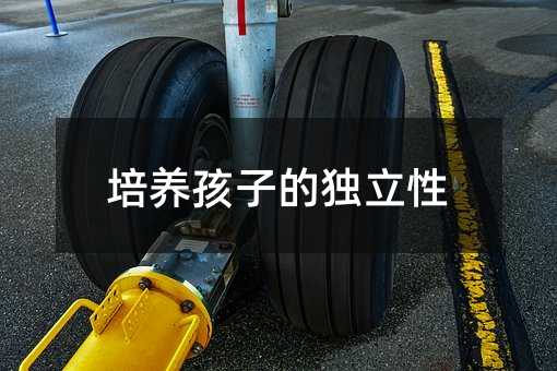 ���B���ӵĪ�����