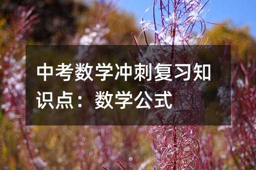 �п���(sh��)�W(xu��)�_�̏�(f��)��(x��)֪�R�c(di��n)����(sh��)�W(xu��)��ʽ