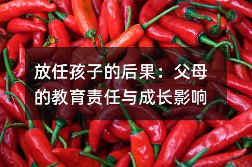 ���κ��ӵĺ������ĸ�Ľ���؟(z��)���c���LӰ�