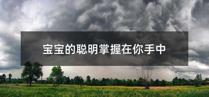寶寶的聰明掌握在你手中
