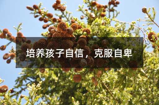 ���B�������ţ��˷��Ա�