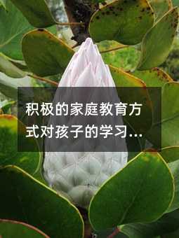 積極的家庭教育方式對孩子的學習能力和自信心的影響