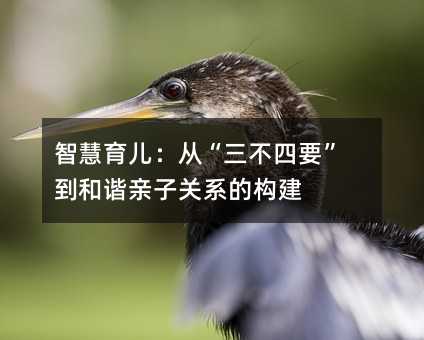 �ǻ��������ġ�������Ҫ�������C�H���Pϵ�Ę���