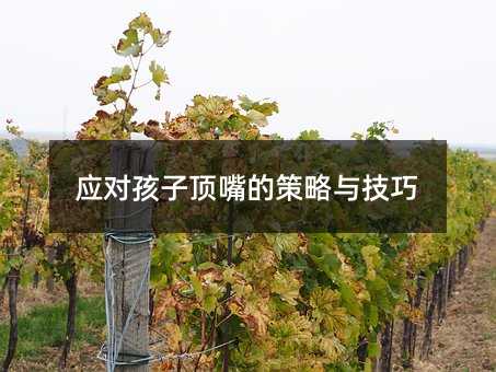 應對孩子頂嘴的策略與技巧