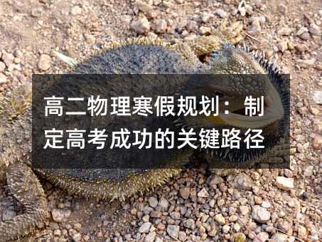 �߶���������Ҏ�����ƶ��߿��ɹ����P�I·��