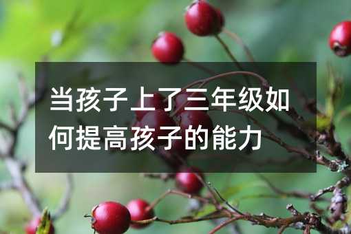 �������������꼉�����ߺ��ӵ�����