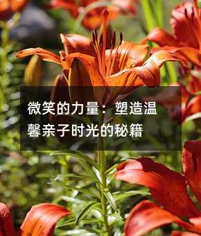 微笑的力量:塑造溫馨親子時光的秘籍