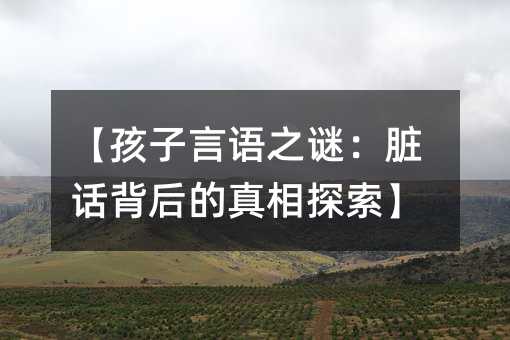 ���������Z(y��)֮�i���KԒ���������̽����