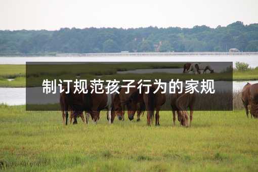 制訂規(guī)范孩子行為的家規(guī)