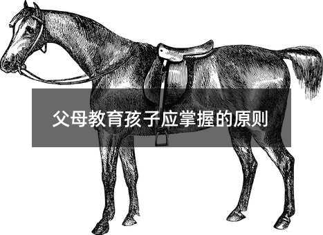 ��ĸ�������ӑ����յ�ԭ�t