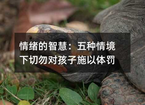 ��w���ǻۣ���N�龳������������ʩ���w�P