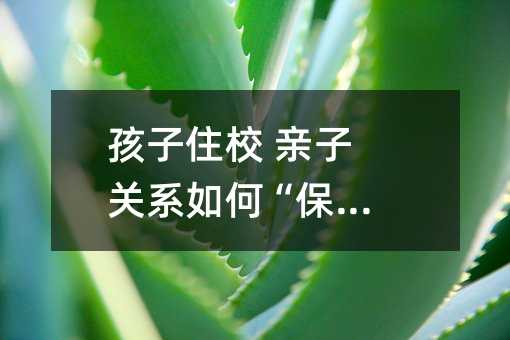 孩子住校 親子關系如何“保鮮”