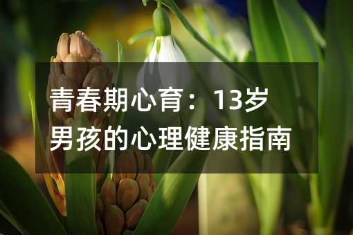 �ഺ��������13�q�к�����������ָ��